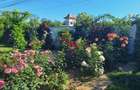 Vila individuala cartierul Priseaca Targoviste - 5