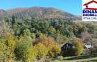 3600 mp teren intravilan, sat Bistrita, 12 Euro mp - 5