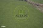 Teren intravilan aprx. 9000 mp de vanzare Stupini Brasov rezidential/r - 5