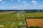 Teren Intravilan 20.000 mp Creata Dascalu, T66 dubla deschidere - 1