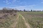 Trestieni - Ulmi, vanzare teren 1.663mp, intravilan - 12