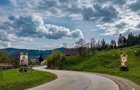 Oportunitate Unica de Investi?ie Domeniu de 2,1 Ha in Bucovina (Suceava) - 8
