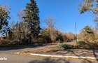 Teren 19.470 mp, investitie ideala, Green City -1 Decembrie, Ilfov - 6