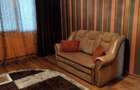 Apartament cu 2 camere nedecomandat în Podu Roș - 5