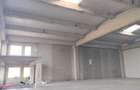 Spațiu comercial, de 523 mp, în Sânandrei - 6