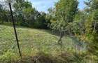 Teren Construcții intravilan de 8000 mp, în Gura Beliei - 5