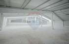 De închiriat -2 hale industriale, 5.050 mp utili, Palota , acces TIR - 5