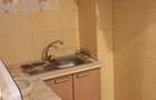Apartament 2 camere de inchiriat Colentina Doamna Ghica - 4