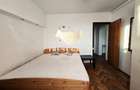 Apartament cu 3 camere decomandat în Banu Manta - 7