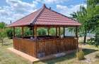 Casă cu 2 camere cu Teren 4500 Mp în Ionești - 4