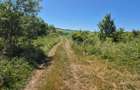Teren extravilan de 5000 mp, în Hamba - 3