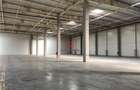 Spațiu comercial, de 25,000 mp, în Popești-Leordeni - 13