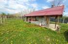 Teren extravilan in Baicoi 10.000mp plantatie mure --80.000e - 10
