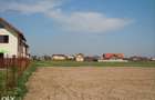 Teren intravilan Gulia 3800 mp - 5