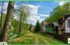 Teren forestier compact, 39,42 ha, Cheia Maneciu, ECX30374 - 5