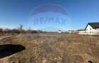 Teren Construcții intravilan de 3300 mp, în Odăi - 4