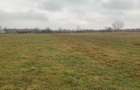 Teren pretabil construc?ii/investi?ii | 26.000 mp| Horodnicu de Sus - 1
