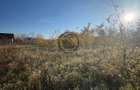 Teren intravilan de vanzare | 12.650 mp | Ghirdoveni | Comision 0%