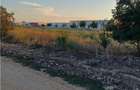 Otopeni-Str.Dr.Garii Balotesti-2.900mp-front 50ml-Ideal Investitie - 2