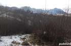 Vand teren Bran - Sohodol - 4