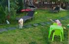 Vand - Apartament cu 3 camere si curte proprie - 8