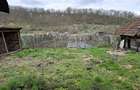 Vand casa in Plescuta - 1