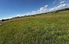 Teren agricol de vanzare, 400 mp, zona linistita - 3