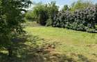 Casa de vinzare Peris (Snagov,Tancabesti,Saftica) - 7