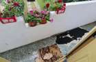 Casă cu 4 camere cu Teren 700 Mp în Prundu - 11