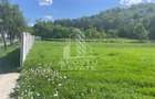 Teren intravilan, partial imprejmuit, eligibil grant- Pojoga, com. Zam - 6