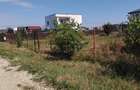 Teren Construcții intravilan de 420 mp, în Berceni - 5