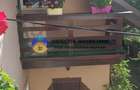Casa + spatiu comercial la pret de apartament , Precista - Piatra Neamt - 8
