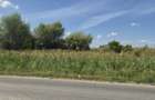 Vand teren Stefanesti, Arges, parcelabil, strada sticlelor, 18600mp