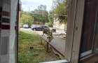 vand garsoniera str Oituz - 5