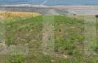 Teren intravilan 5000 mp Catamarasti-Deal - 2