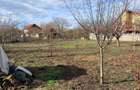 Casa de vanzare, Peciu Nou - 11