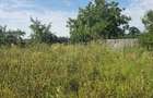 Casă cu Teren 5000 Mp în Odăeni - 5