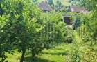 Casa saseasca autentica in Bruiu (Sibiu) - 6