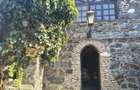 Faleza Nord, P+1, de inchiriat, 1000 euro