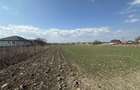 Teren intravilan 20 ari | Radau?i | Front stradal 19.49 m - 6