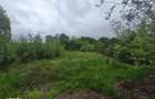 Teren intravilan, 2300mp, zona Hardic, Horodnic de Sus, Radauti - 3