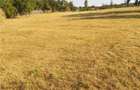 Teren de 2100 mp, în Rădăcinești - 10