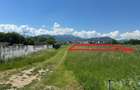 Teren 700mp Tractorul 6 | Accept variante imob. | Ecuator Imobiliare - 5