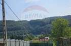 Casă cu 4 camere cu Teren 1371 Mp în Nădrag - 6