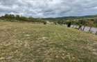 Teren intravilan la strada principala DN1 ideal pentru casa sau afacere - 6