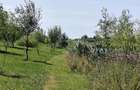 Balta de Pescuit, Cabana din Busteni, Teren 6,37 ha, langa Oradea - 4