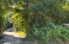 Teren intravilan Valea Mare Podgoria, ID: R3259992 - 1