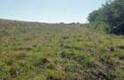 Teren intravilan de vanzare-1800 m ,Sauceni?a jud Boto?ani. - 2