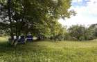Teren in Breaza Frasinet | 1.955 mp | 23 /mp - 4