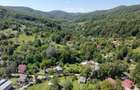 Teren Intravilan 8.277 mp Provița de Jos – Utilități, Râu & Pădure - 12